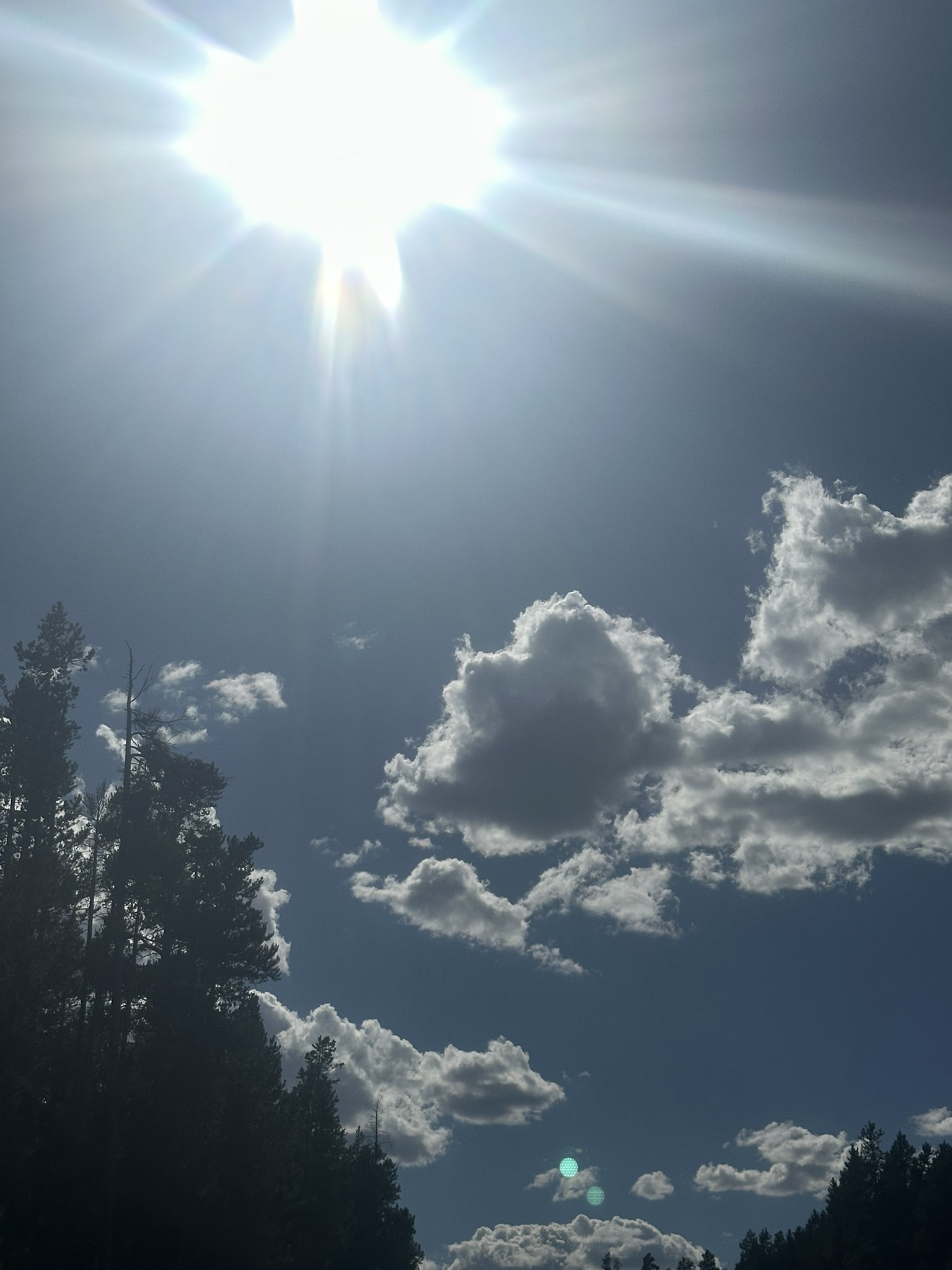 Yellowstone And Grand Teton National Parks - Image 1479